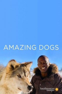 Amazing Dogs